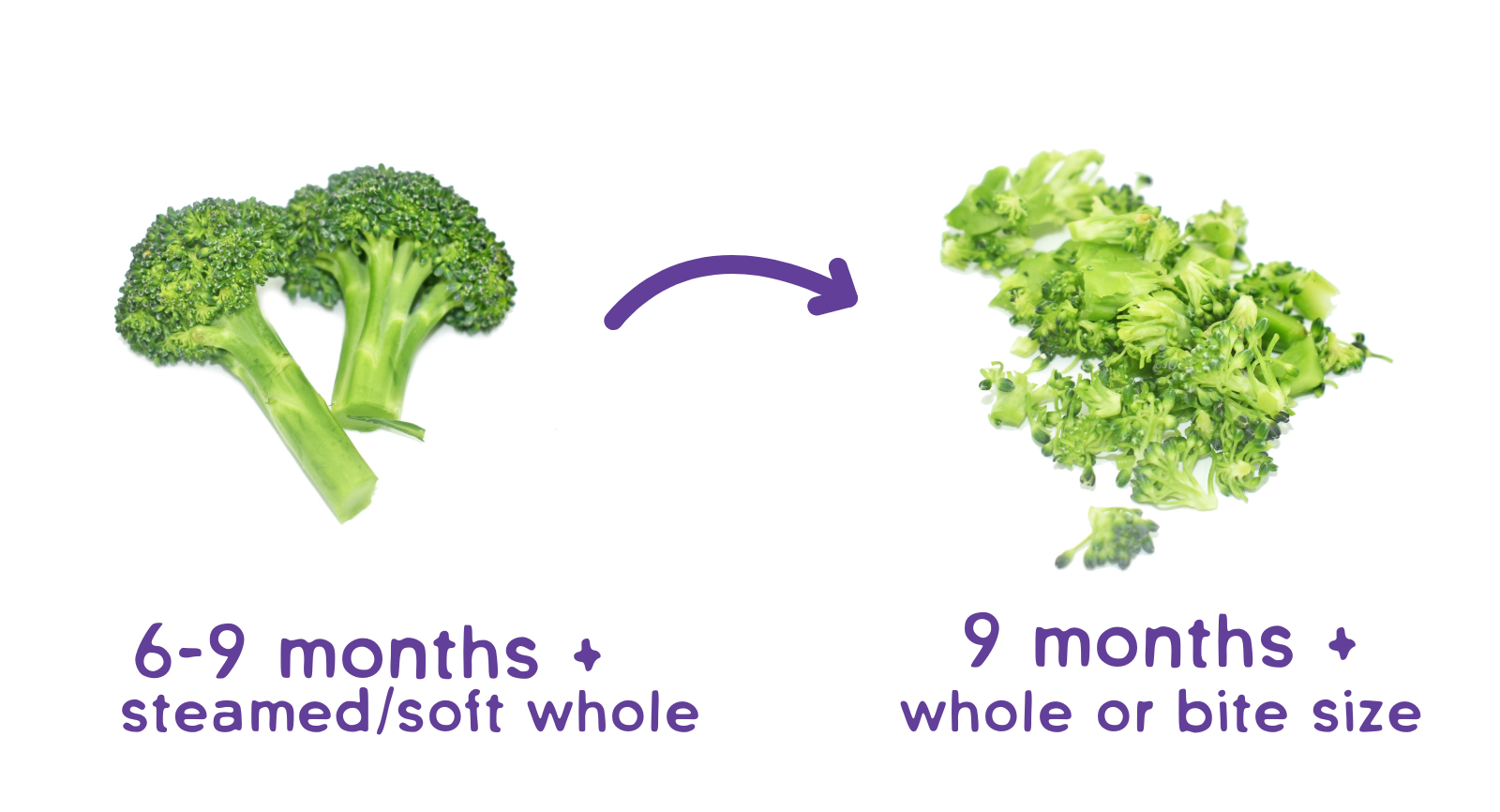How to cut broccoli for babies whole 6-9 months and then bite size 9 months plus