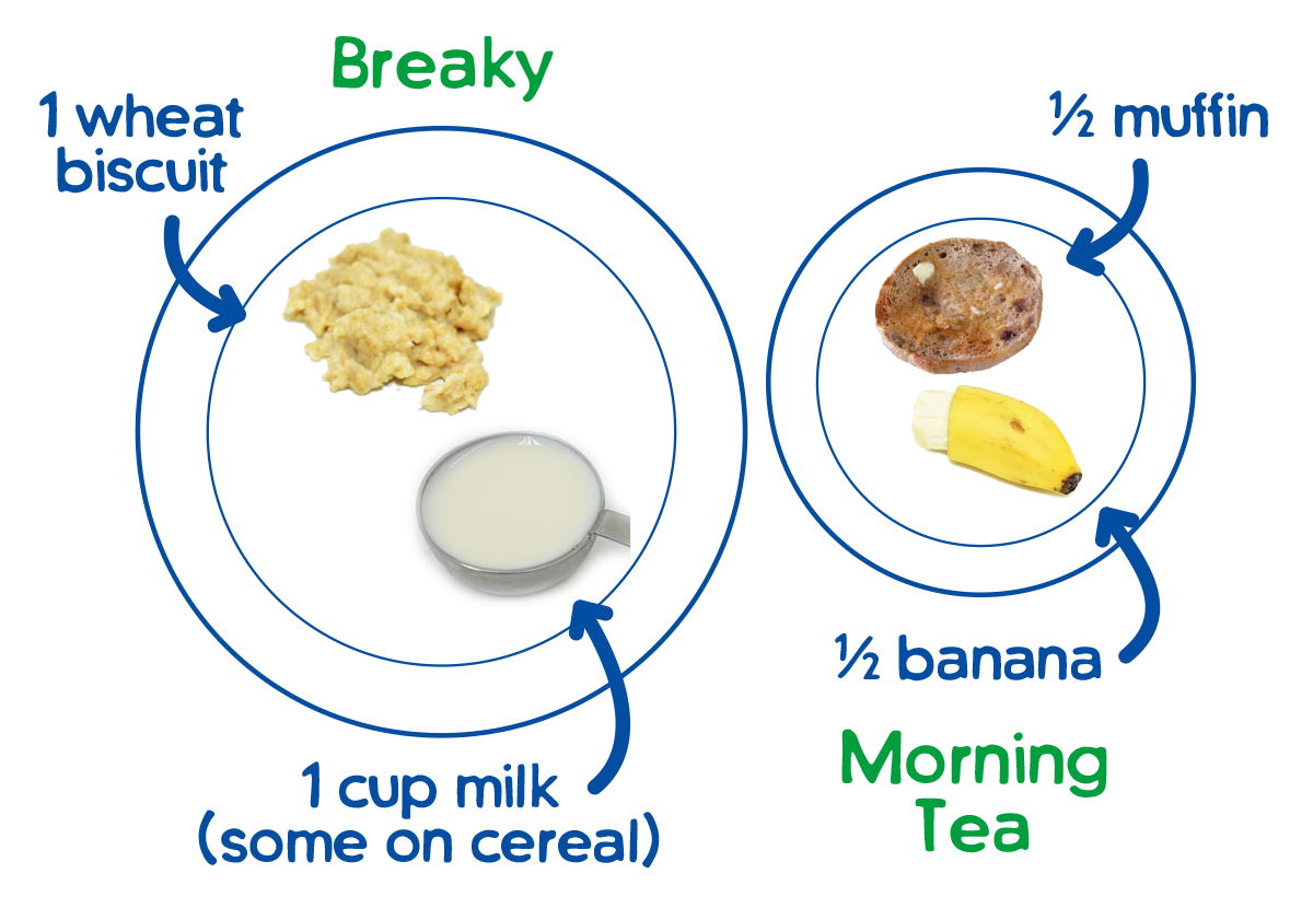 Image of the recommended dietary guidelines spread over 5-6 meals