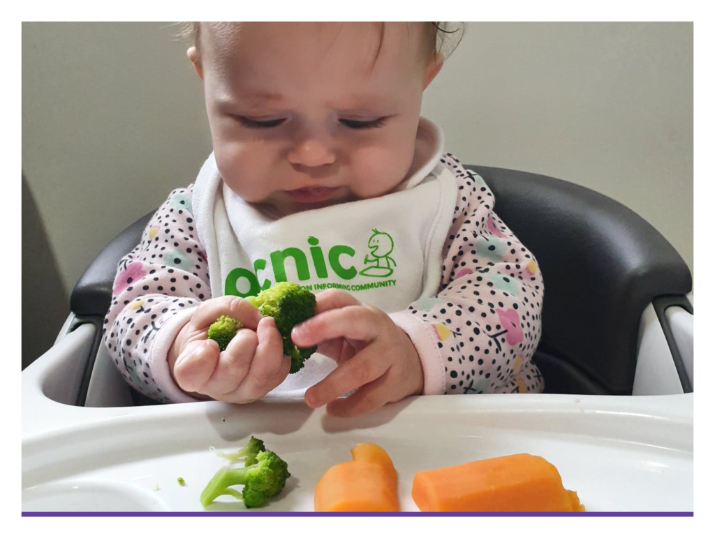 Baby holding and looking down at broccoli