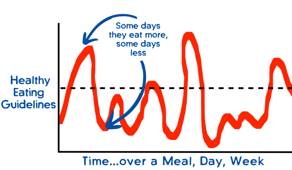 Graph with the recommendations and then a squiggly line that shows that some days they eat more some days less.