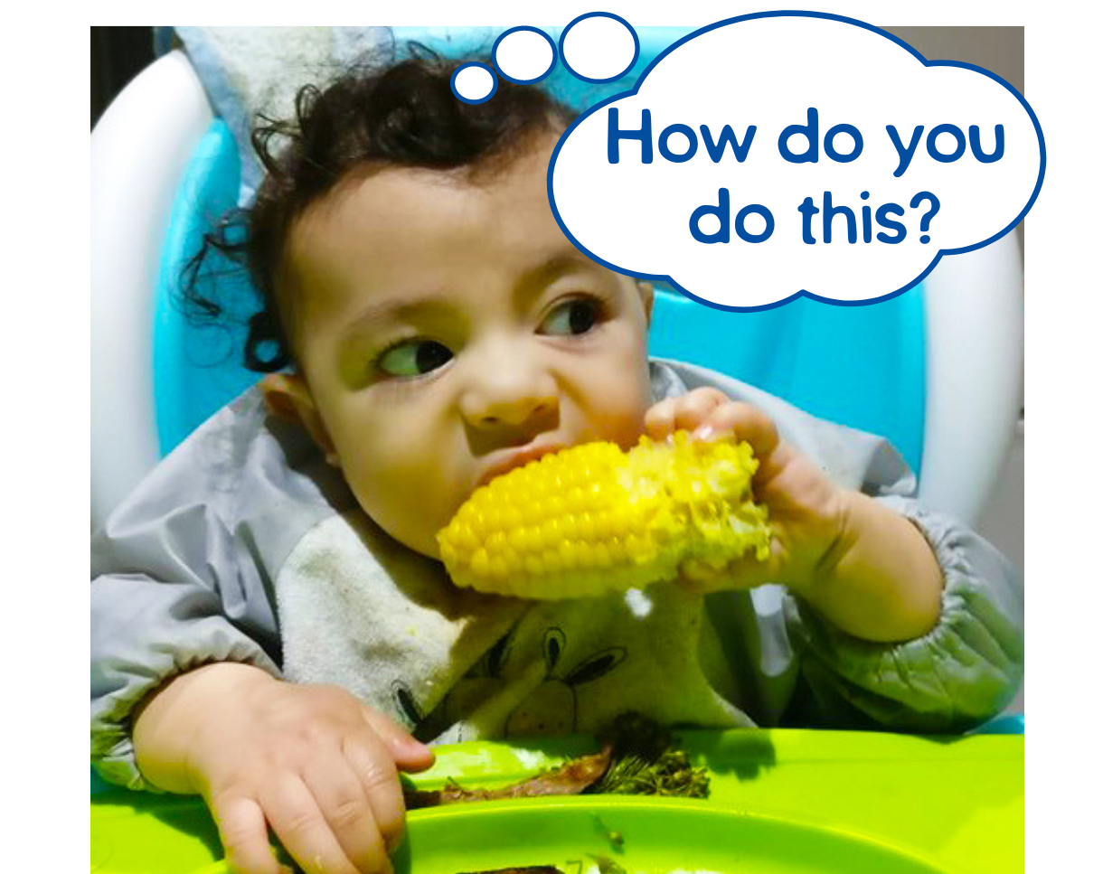 baby eating corn thinking "how do I do this"