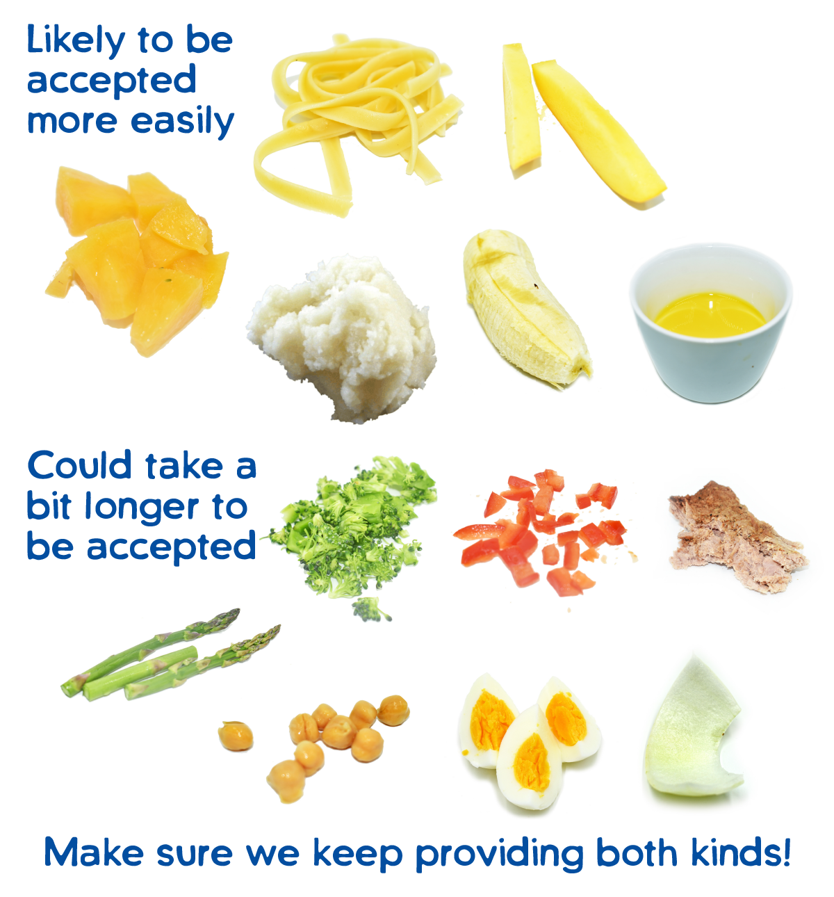 Food types accepted easily (bland) and others that take a little longer to be accepted (more bitter)