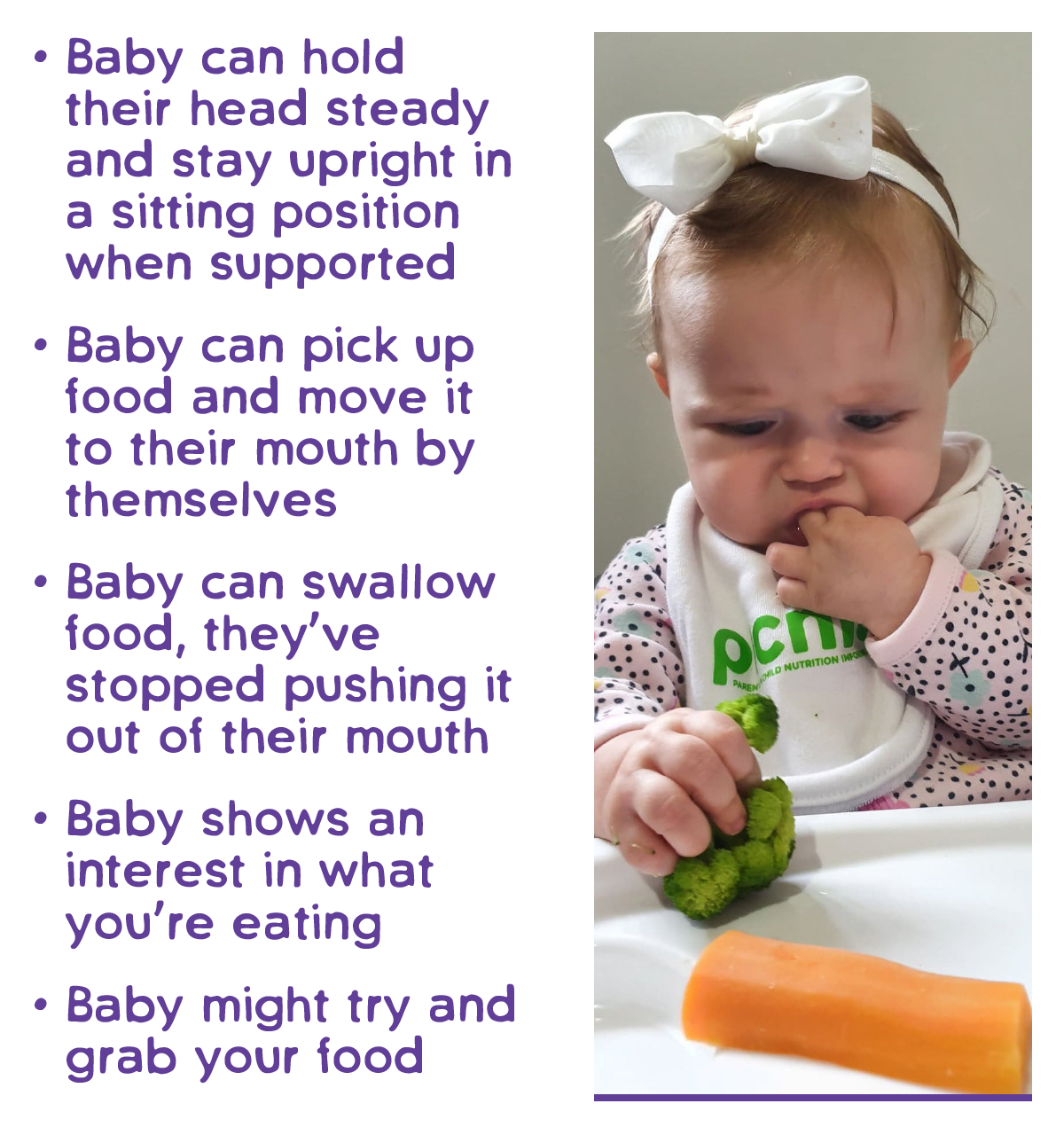 Getting started with solid foods - Picnic Project