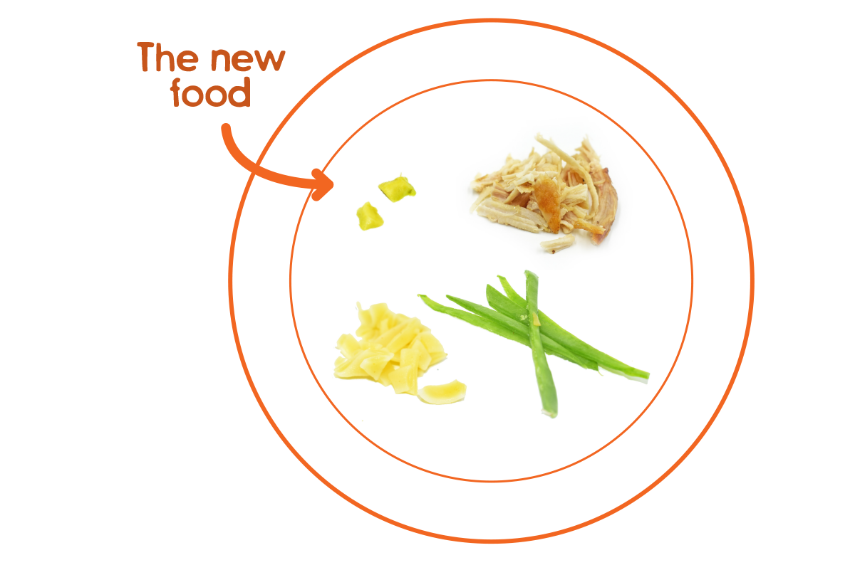 Small portion of the new food 