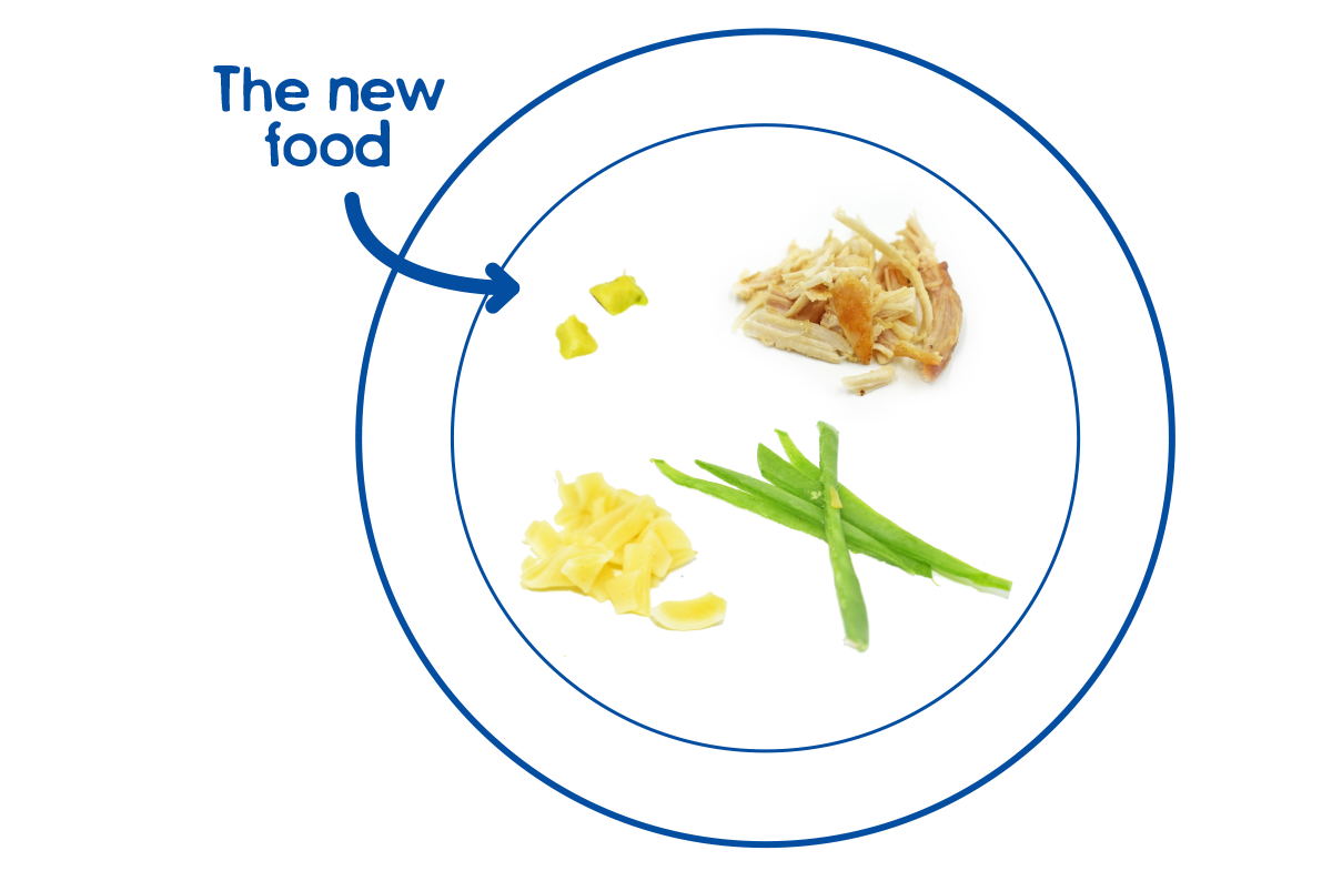 Small portion of the new food 