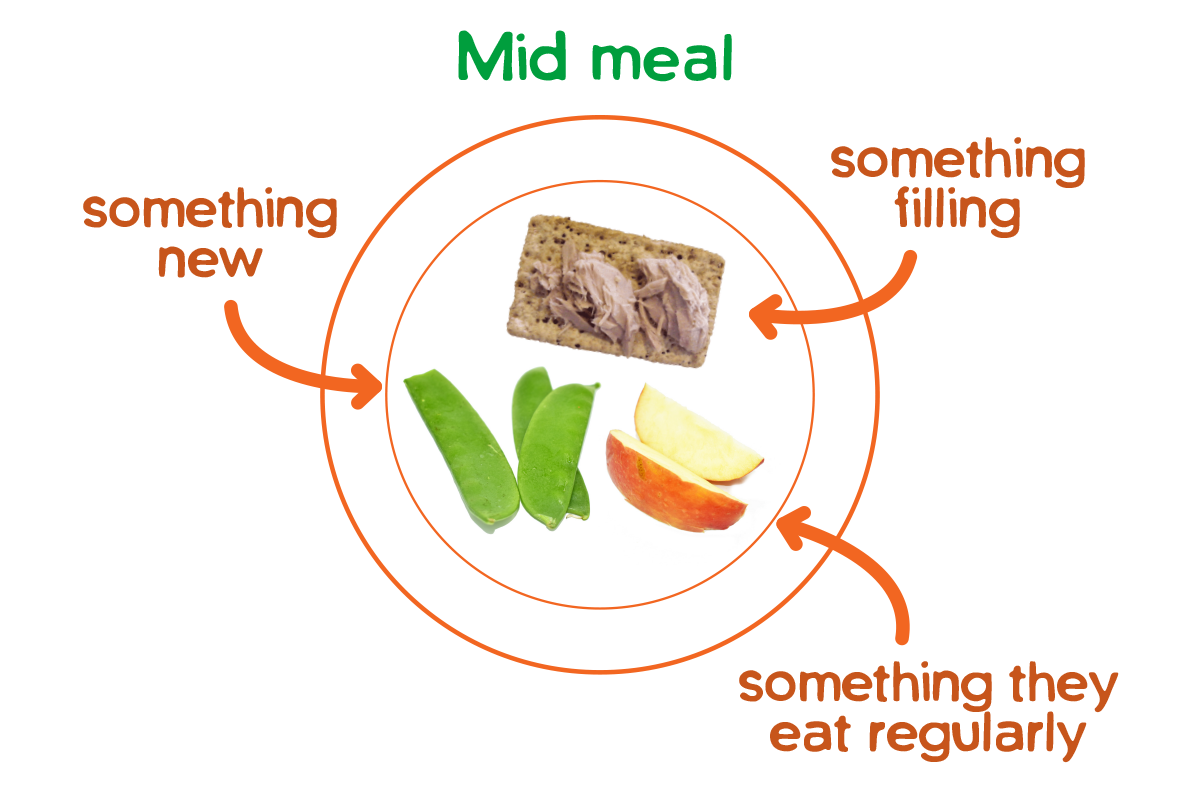 Image of a mid-meal plate with something filling, something accepted and something new on it.