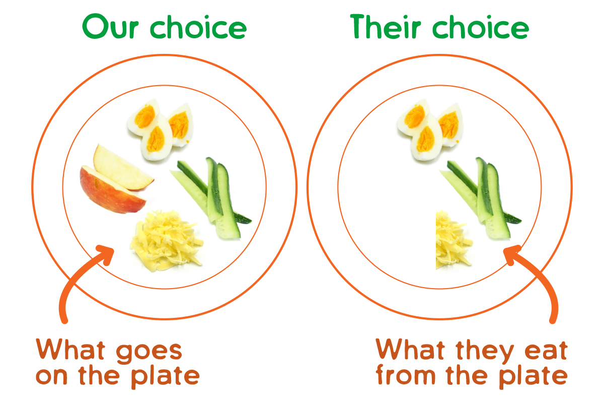 What we decide what goes on the plate and what children decide in feeding, what they eat from the plate.