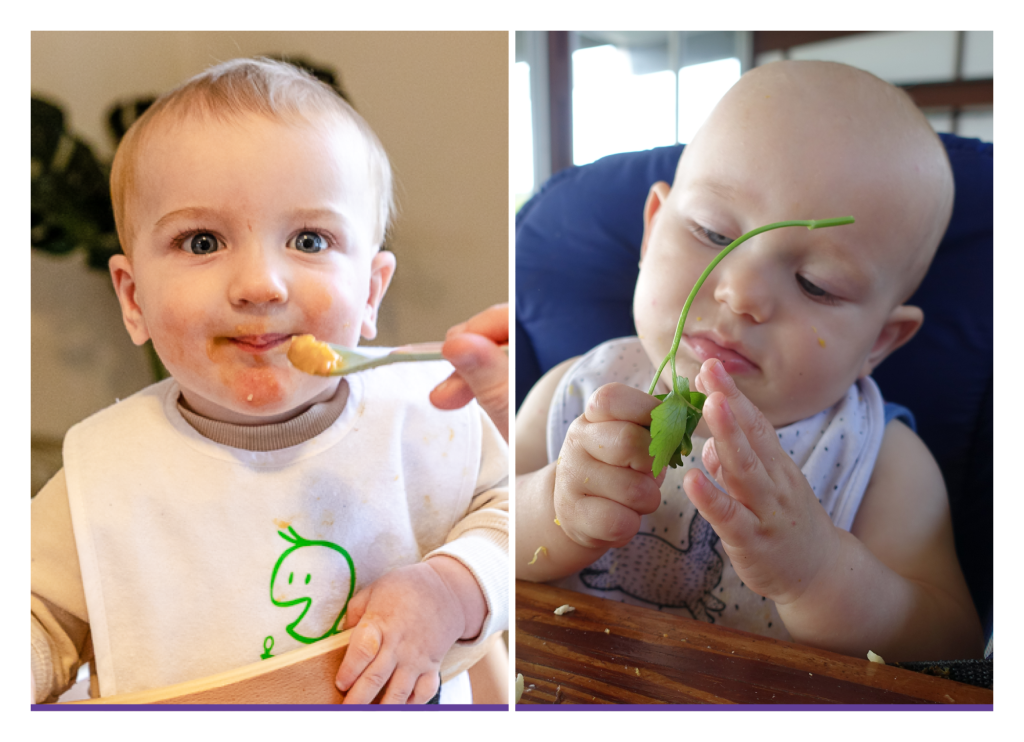 babies being fed by parent and feeding themselves