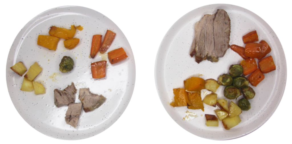 2 Plates - same food, one has child portions other has adults.